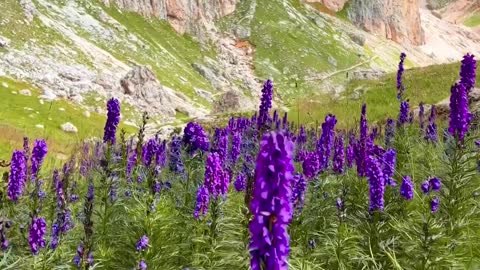 Quiet moments in the Rosengarten Mountains of Trentino