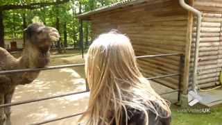 Camel bites girls head