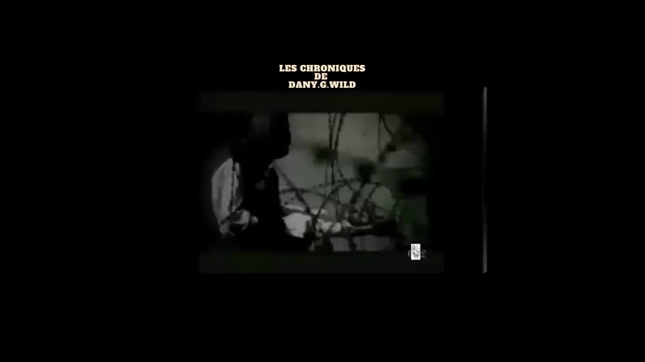 chronique de Dany.G.Wild