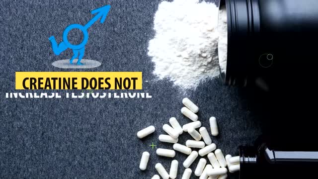 What Happens to Your Body On Creatine?