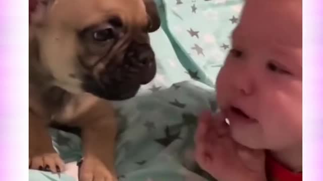 🐕 Dog Crying Like a Baby 👶😍