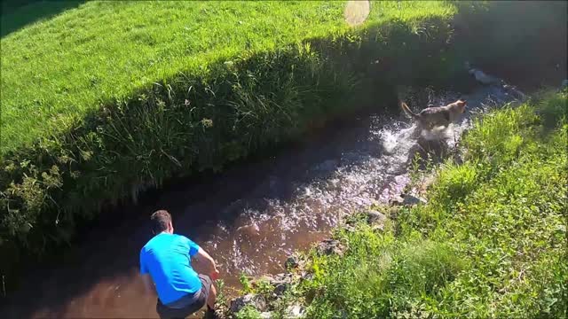 thaWatch Tommy train in the river.