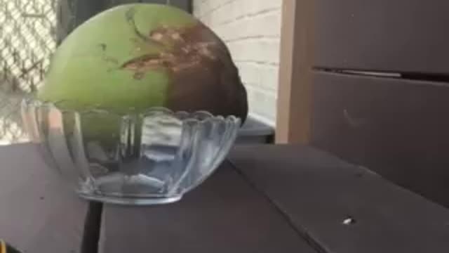 The right easy way to get a coconut water!!