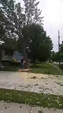 A Man Cuts Down A Tree And It Falls On His House