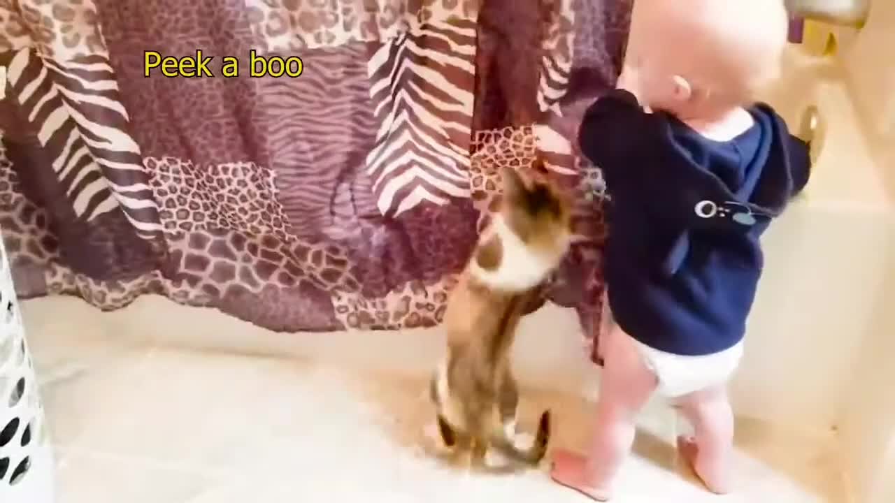 Baby VS Cat funny video_ part-3_(720HD).mp4