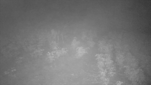 3 Big Bucks! 8/22/22