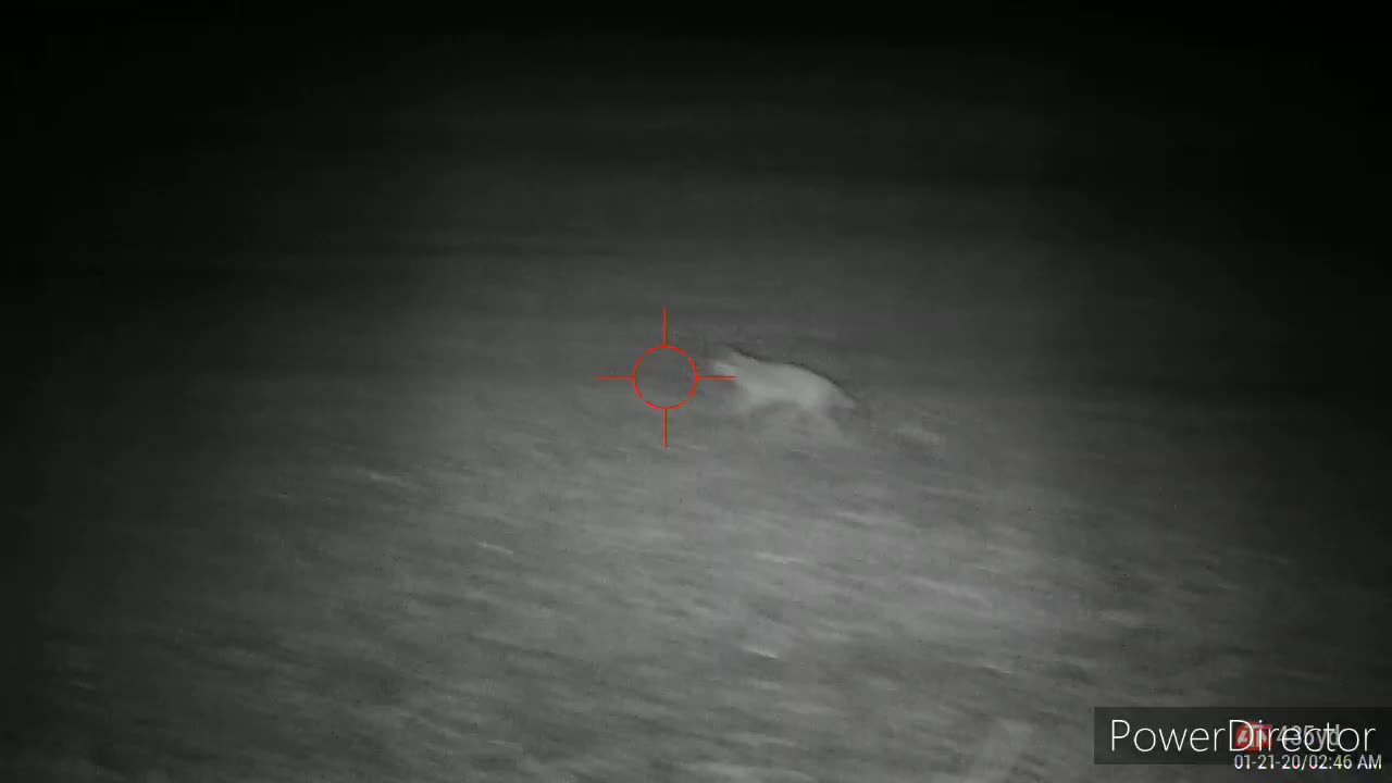 Ath 4k pro coyote hunting