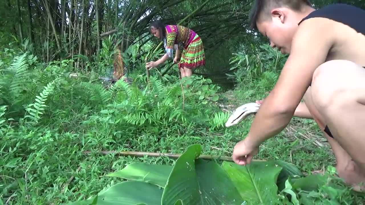 Primitive Life Catch Fish At River To Survival - Skills Cooking Fish For Food