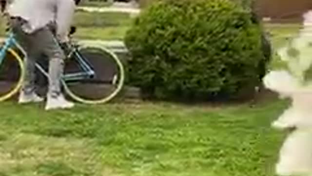 Hidden camera (who steals the bike?)