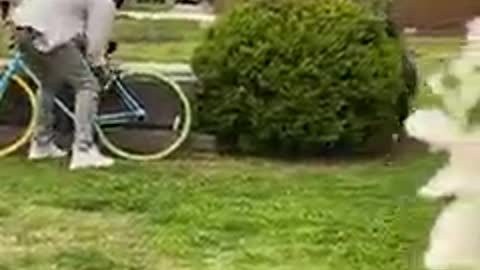 Hidden camera (who steals the bike?)