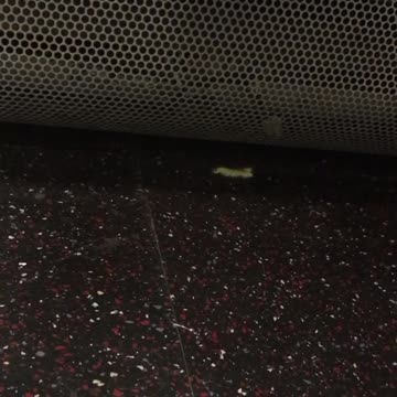 Green work crawling subway part 2