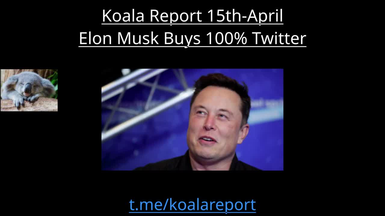 Koala Report, April 15th 2022