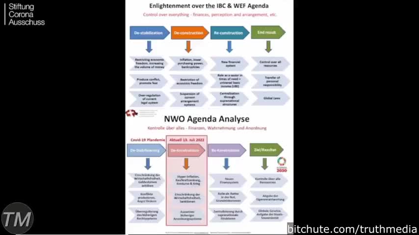 NEW WORLD ORDER CONSPIRACY EXPLAINED - DR. REINER FUELLMICH