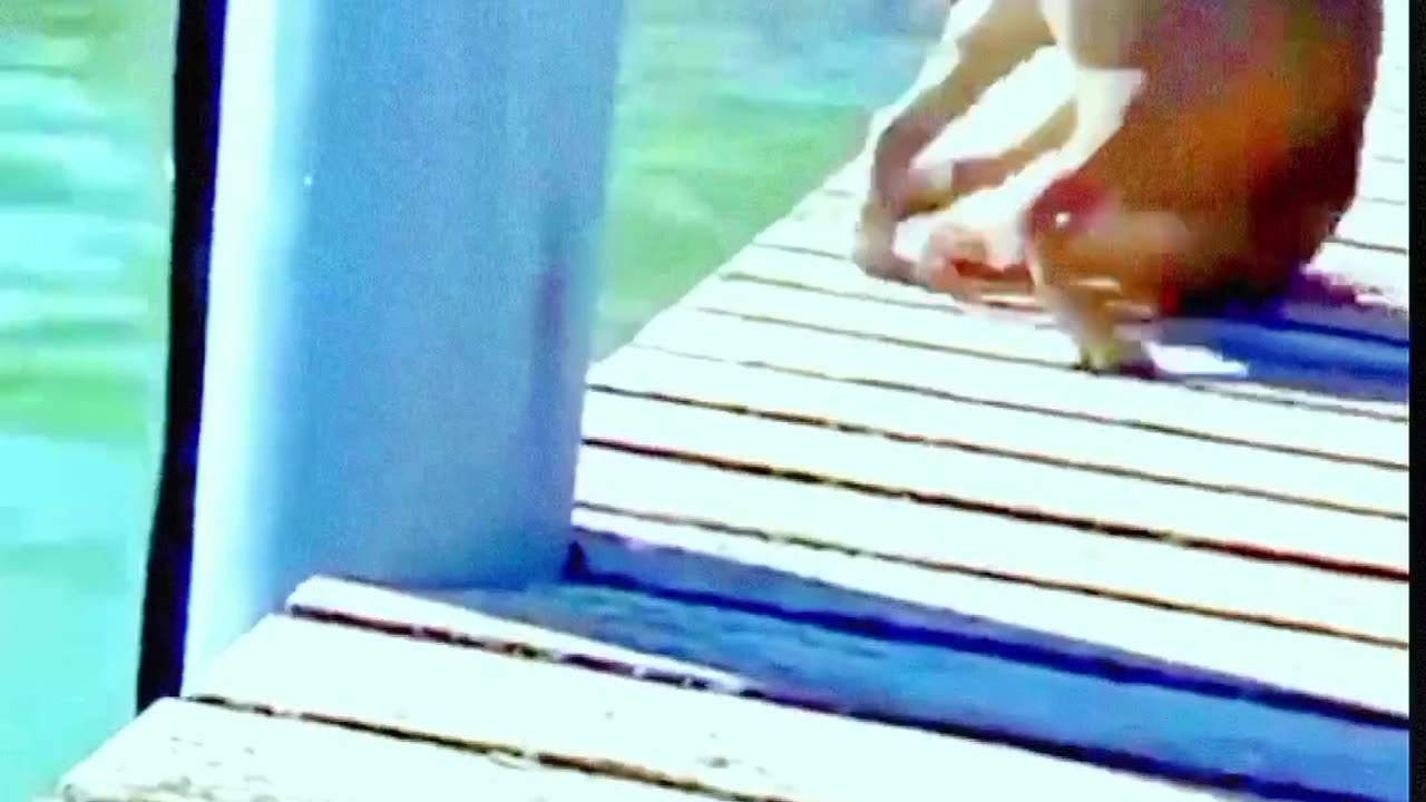 Most Fumnyest Moments 😂😂🤣