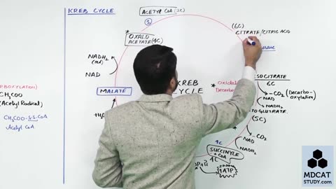LEC#14 KREB CYCLE
