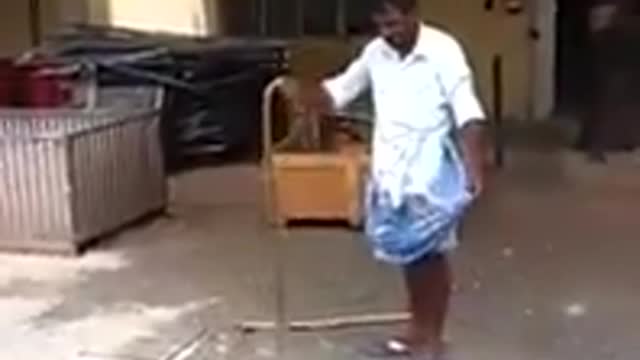 Real gangster: fun with snake