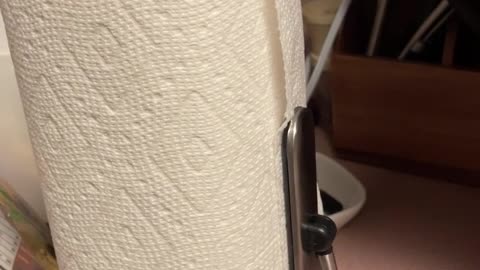 Stylish and Practical: This Stainless Steel Towel Holder