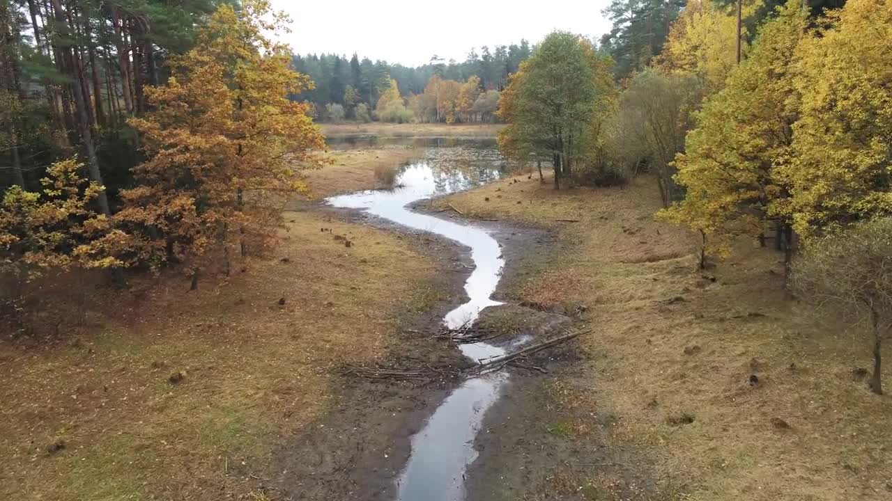 drone video