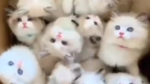 Cute baby s😍😍😍😍
