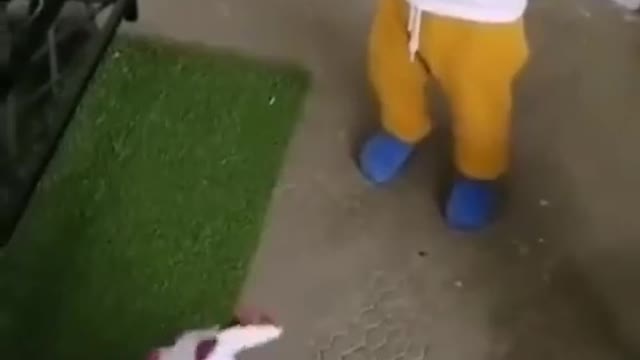 Poor toyπππ