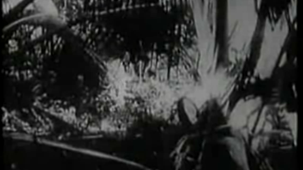 20,000 Leagues Under the Sea (1916) - Full Film