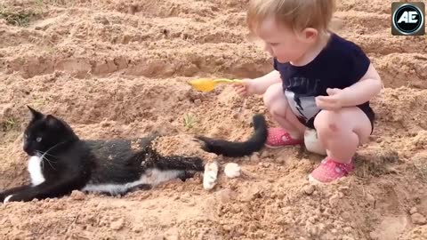 Baby & Cats Funny Video