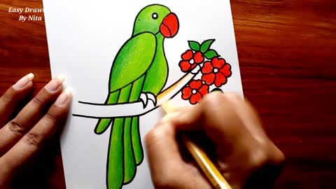 How To Draw Parrot For Beginners -- Parrot Drawing Colour -- Parrot Drawing Tutorial -- Bird Drawing