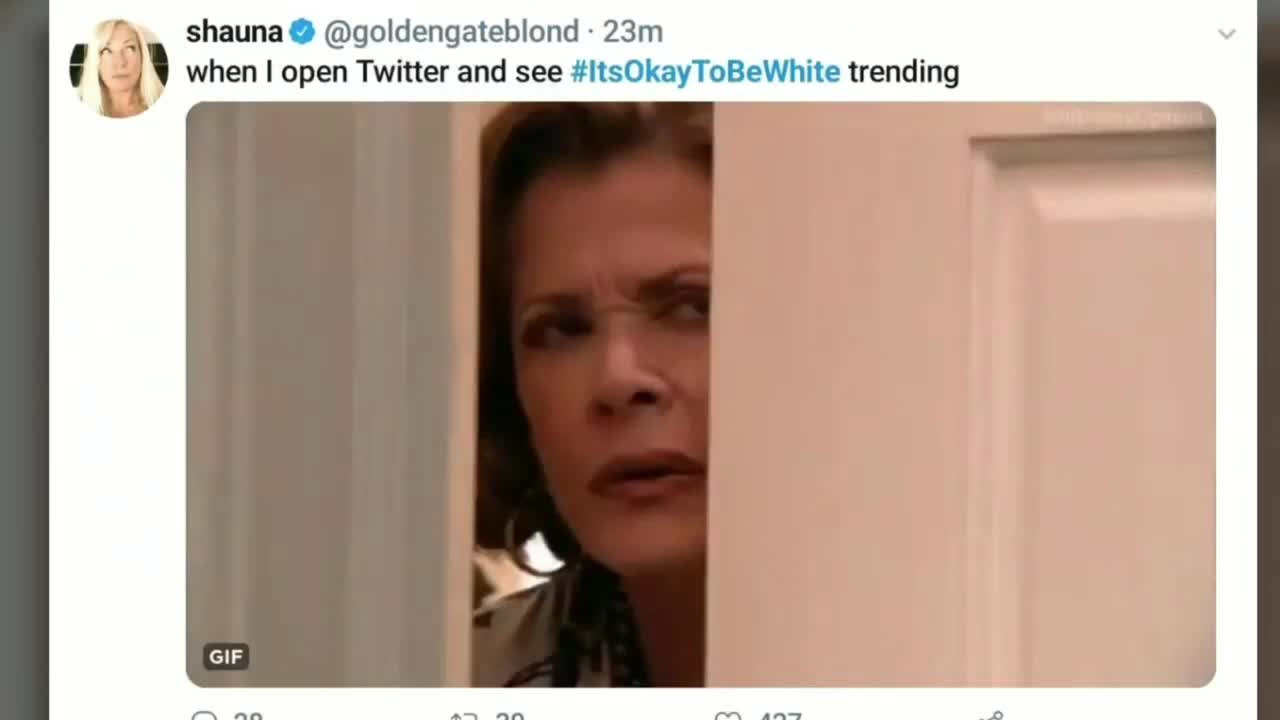 Trolling libs by making #itsokaytobewhite to be trending on twitter. They were mad. It was wild