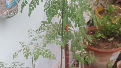 How to make sure 😊😊 to get a