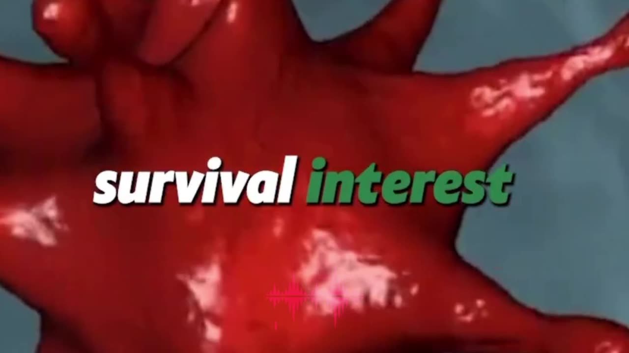 Fasting and Immunity: A Shield Against Viruses | #Shorts #covid19 #covid #ImmunityBoost