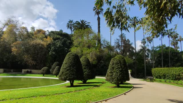 Wornderful garden in algeria