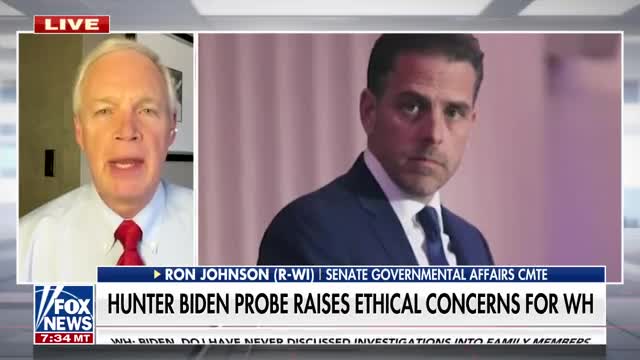 Americans deserve the truth on Hunter Biden: Sen. Johnson