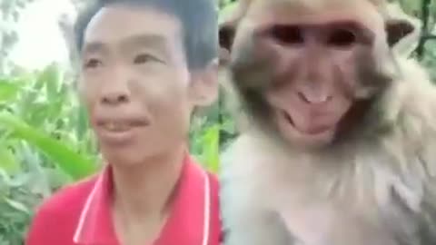 Best Funny Video clips Animals and women copying 😁😁😁😁😁😁