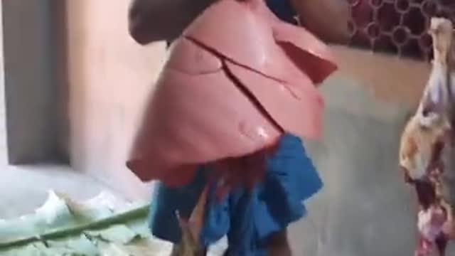 funny video/tictok video/eid day funny video