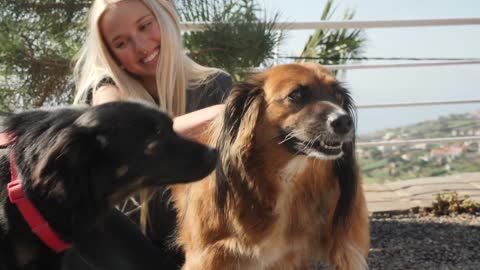 A Smiling Girl Is Petting Dogs 1#
