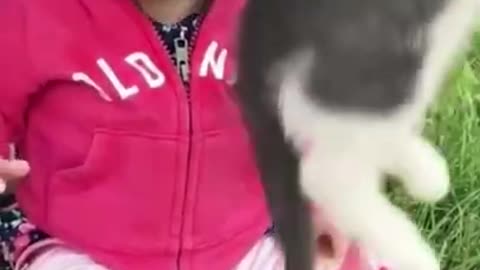 Funny Cat 😂😺 videos