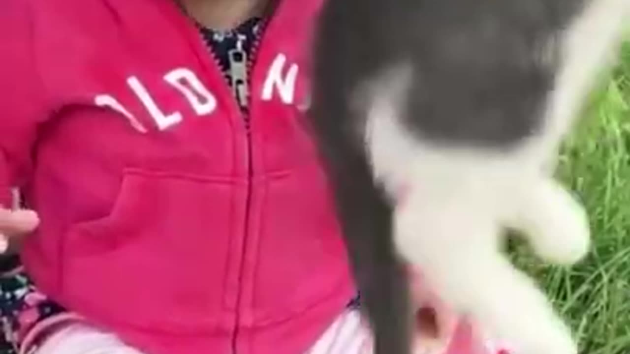 Funny Cat 😂😺 videos