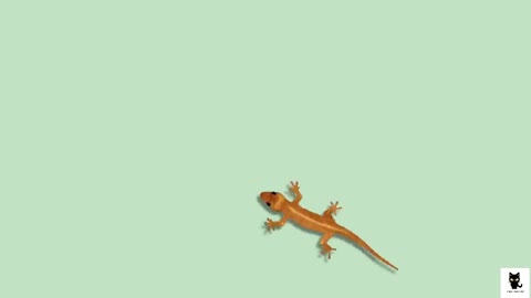 Cat Games! Lizard Attack!