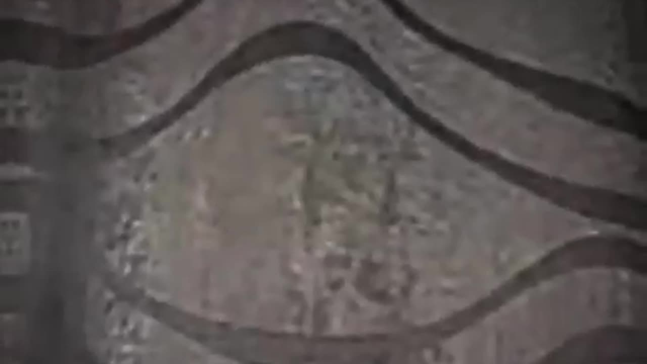 Short video