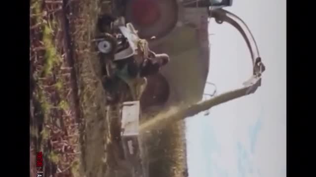 funny videos extreme