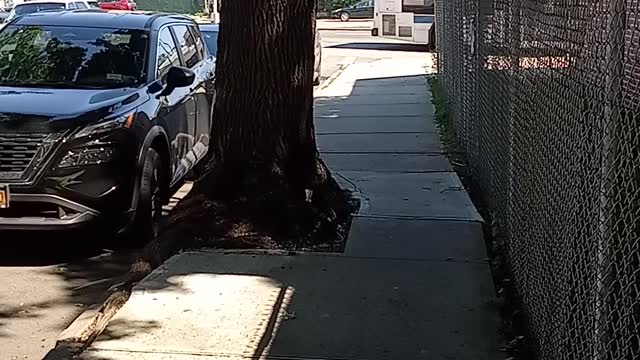 I have every right as an Afro Man to seek happiness elsewhere