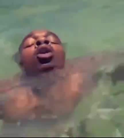 NIGGERS CAN'T SWIM.mp4