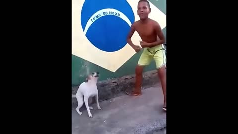 Perro Bailarín