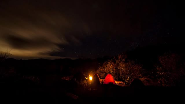 INSECTS CHIRPING | Outdoor adventure, camping night, for sleep and relaxation