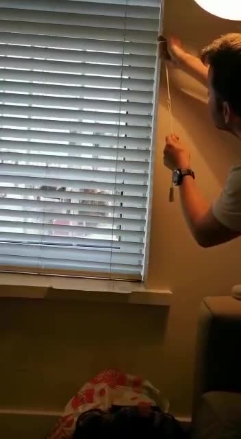 They scattered like roaches when you turn the lights on