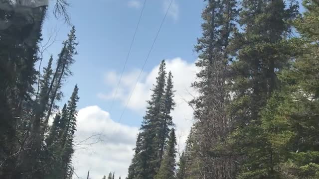 Crossing the a little stream to get to my property