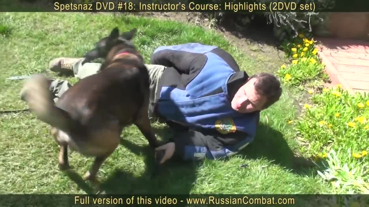 How to defend yourself against a dog to stay safe