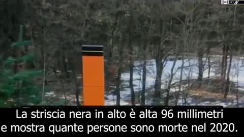 Una pandemia da 4 millimetri!