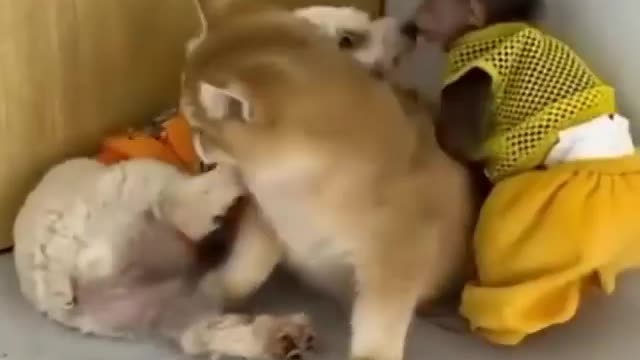 funny friends