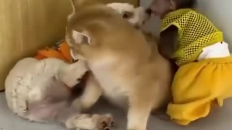 funny friends